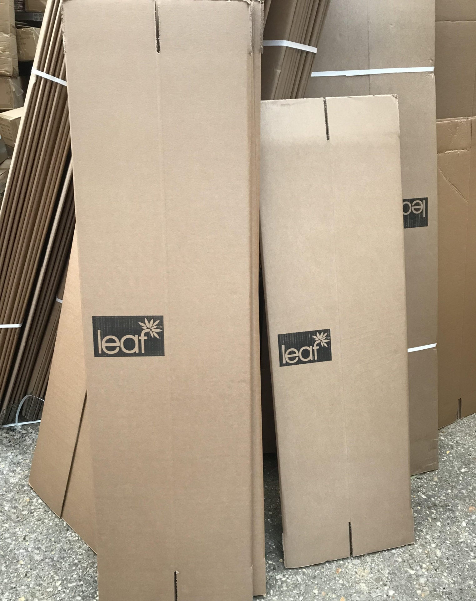 Leaf Long Cardboard Box - 19cm x 19cm x 120cm