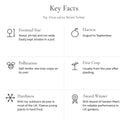 Key facts for Brown Turkey fig