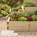 Caledonian Tiered Raised Bed #90cm(L) x 90(W) x 56(H)