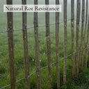 Chestnut Heavy Duty Paling Fence Roll with Steel Wire