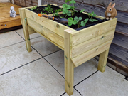 Classic Wooden Veg Trug Planters – Woven Wood