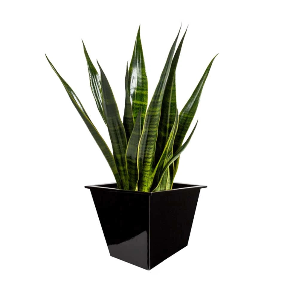 40cm Zinc Galvanised Polished Black Insert