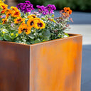 Corten metal planter with colourful flowers on a blurred background
