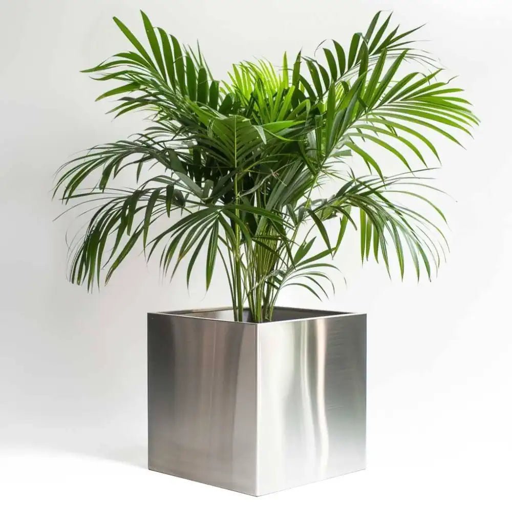 Extra large cube plant pot