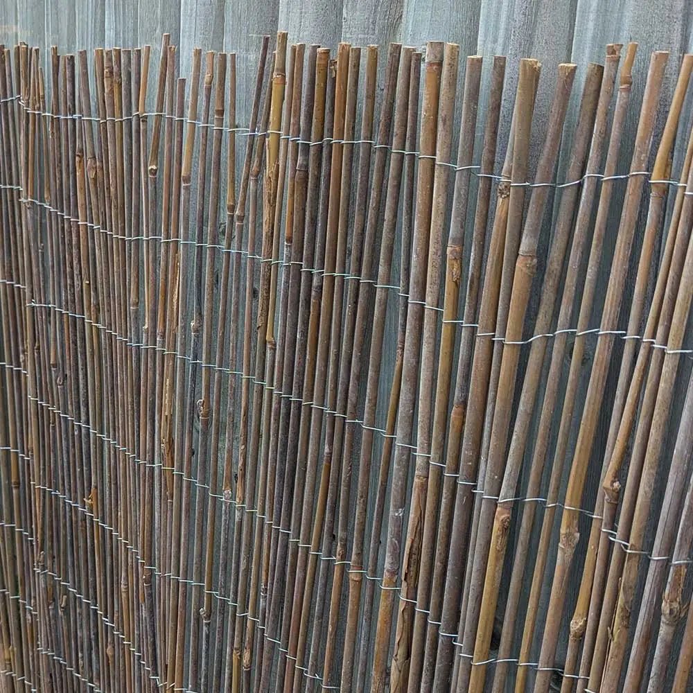 customer image bamboo cane closeup