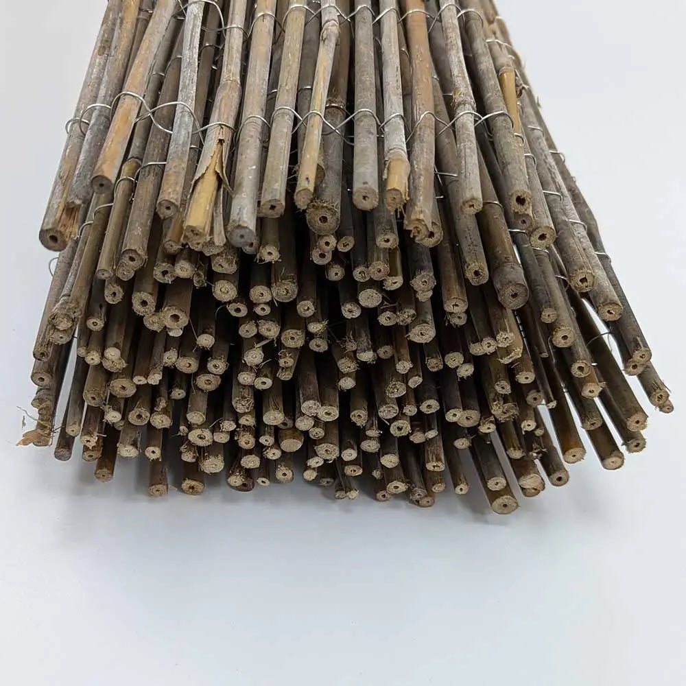 customer image bamboo cane closeup