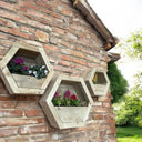 customisable-hanging-wooden-hexagon-wall-planter