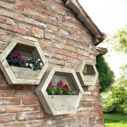customisable-hanging-wooden-hexagon-wall-planter
