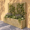 Customisable wooden trough planter with trellis - planted hero