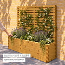 Customisable wooden trough planter with trellis - smooth planed and sanded