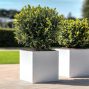decorative white cube metal planter woven wood