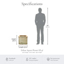 Deluxe Square Planter dimensions and specifications