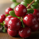 Early Black Cranberry Bush cluster with water droplets, green leaves, on wood, highlighting natural freshness.