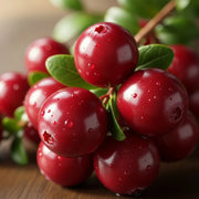 Early Black Cranberry Bush cluster with water droplets, green leaves, on wood, highlighting natural freshness.
