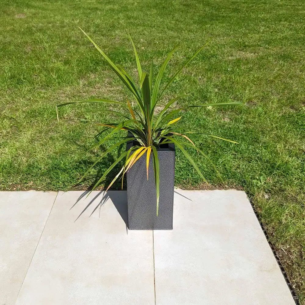 Huge planters creating a focal point in a backyard oasis