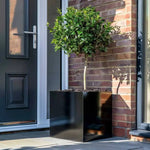 A spacious garden planter perfect for large plants.