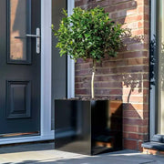 A spacious garden planter perfect for large plants.