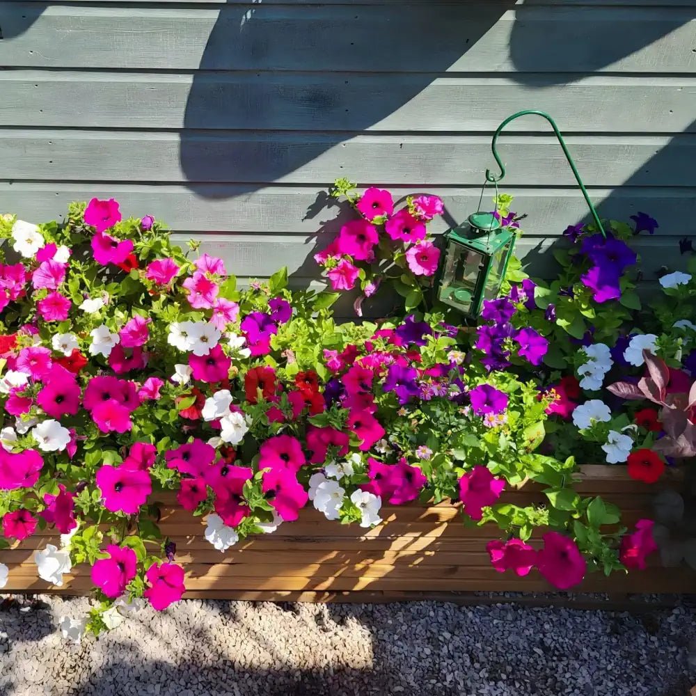 Wooden Pot Stand, Wooden Flower Boxes, Timber Planters, Pine Raised Wooden Planters, 2m Long by Woven Wood