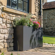 Extra large plant pots filled with vibrant greenery, basking in sunlight.