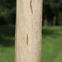 180 cm handmade woven wood rustic natural chestnut posts