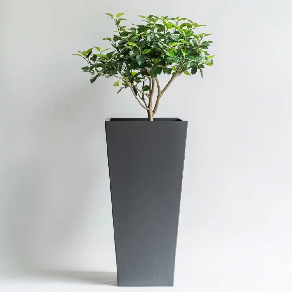 A tall planter serving as a focal point in the room.
