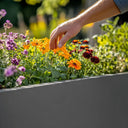 Flatpacked zinc galvanised trough planter, matte grey, lifestyle hand