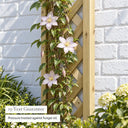 Rosemore Lattice #180 x 30cm