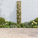 Rosemore Lattice #180 x 30cm