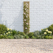 Rosemore Lattice #180 x 30cm
