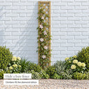 Rosemore Lattice #180 x 30cm