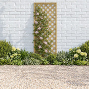 Rosemore Lattice #180 x 90cm