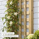 Premium Framed Trellis #180 x 60cm