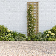 Premium Framed Trellis #180 x 60cm
