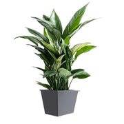 40cm Zinc Galvanised Matte Grey Insert