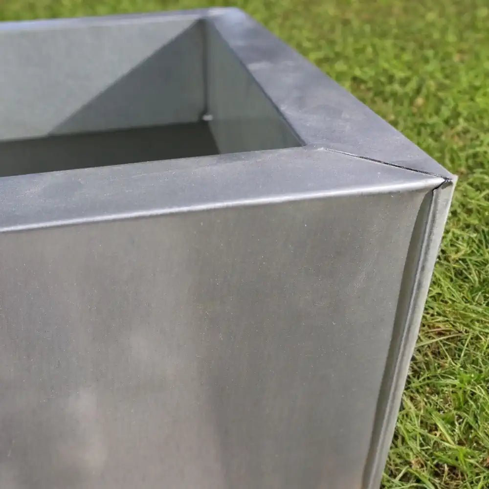 Contemporary zinc planters adding a touch of sophistication.