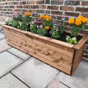 Premium Plant Pots by Woven Wood, perfect for planters.