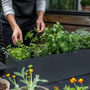 Compact herb planter perfect for small spaces.