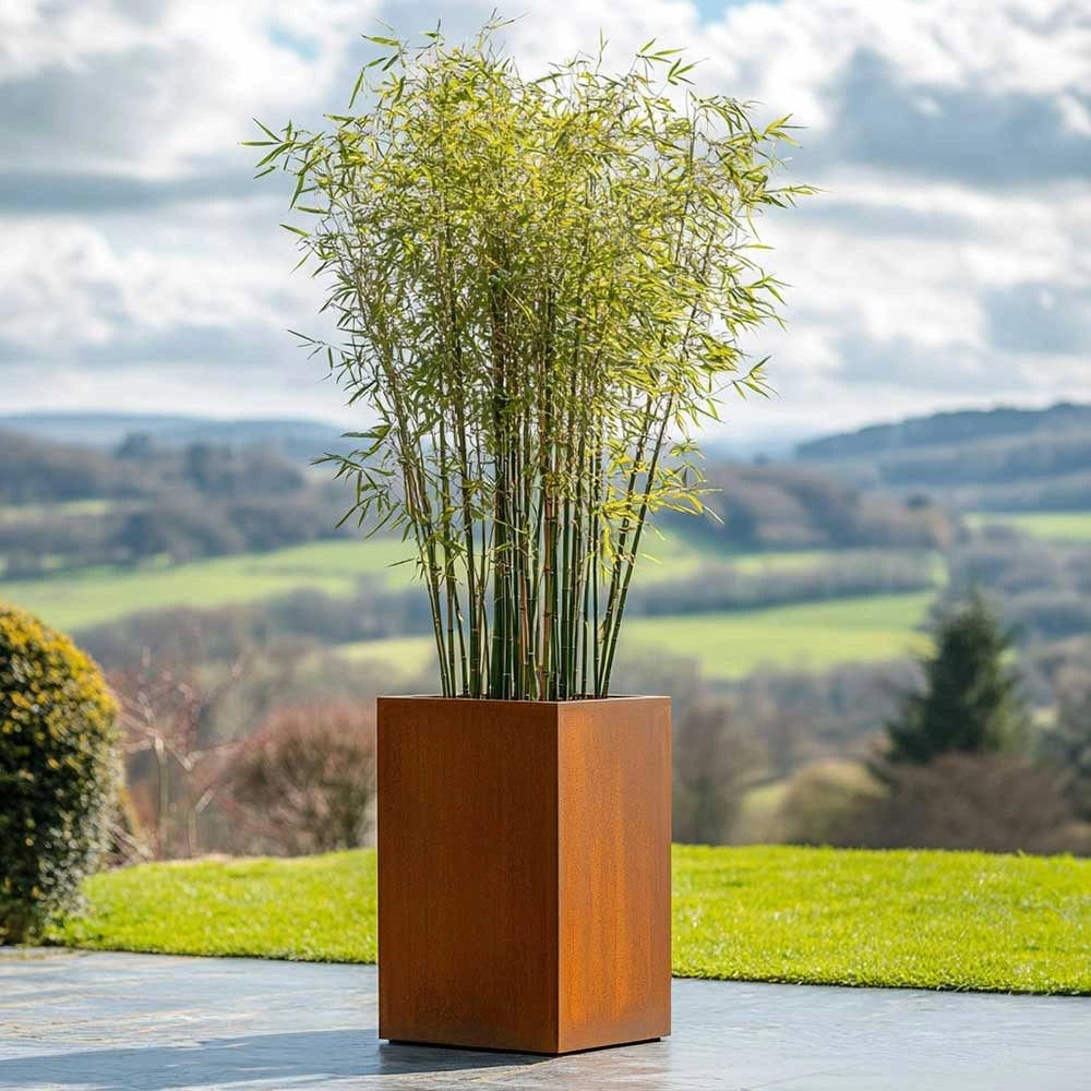 50cm Corten Steel Tall Square Planter - Pre-Rusted with Insert