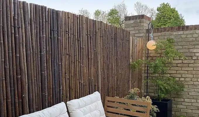 Garden Privacy Screening