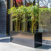 Array of large flower pots arranged in a row.