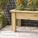 Grow Bag Tray Container #115cm(L) x 55(W) x 60(H)