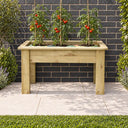 Grow Bag Tray Container #115cm(L) x 55(W) x 60(H)