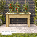 Grow Bag Tray Container #115cm(L) x 55(W) x 60(H)