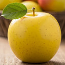 5ft 'Golden Delicious' Apple Tree | 7.5L Pot | 2 Years Old
