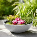 Wildlife Pond In A Pot | Complete Kit with Bowl, Plants & Fountain