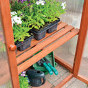 Hardwood Mini Greenhouse