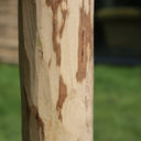 150 cm handmade woven wood rustic natural chestnut posts