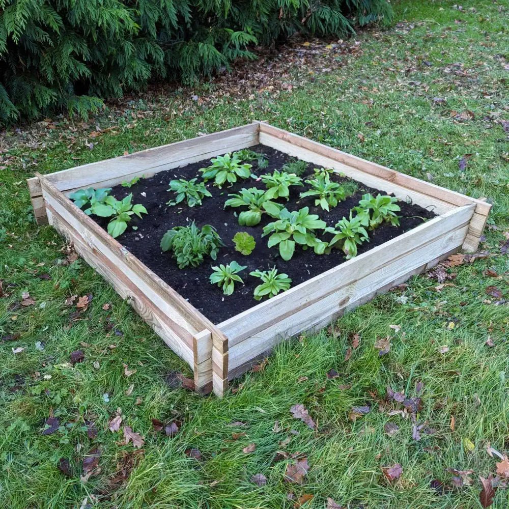 Premium Chester Raised Garden Bed for vegetables by Woven Wood