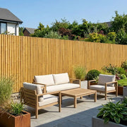 Jumbo Premium 5-6cm Thick Bamboo Cane Fencing Screening Rolls