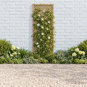 Wisley Lattice #180 x 90cm